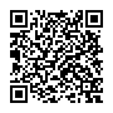 QR code for BFO533