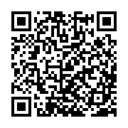 QR code for BFP383