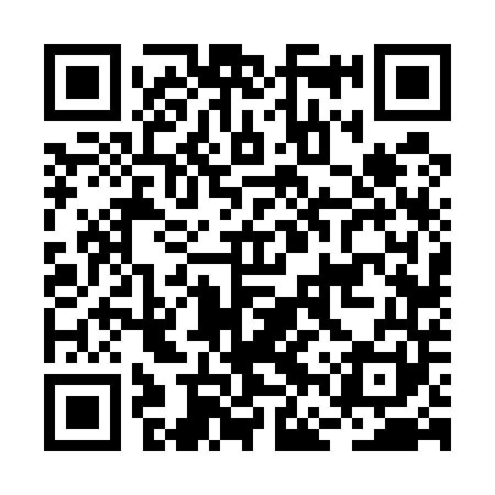 QR code for BFV541