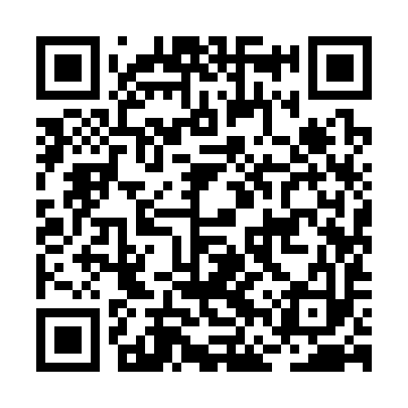 QR code for BFY393