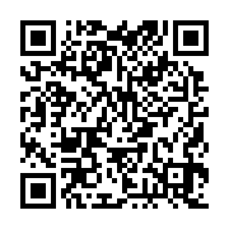 QR code for BGA333