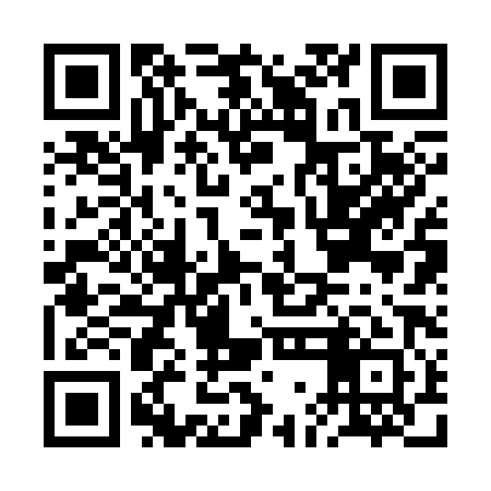 QR code for BGB381