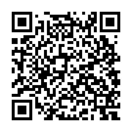QR code for BGF313