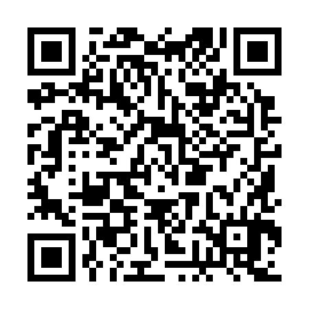 QR code for BGI384