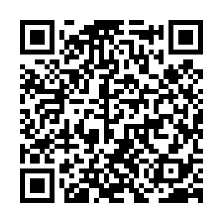 QR code for BGI438