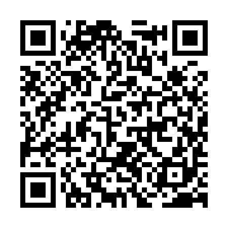 QR code for BGI990