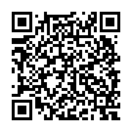 QR code for BGN696