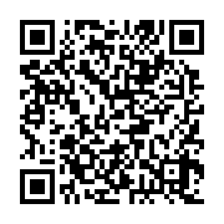 QR code for BGT338
