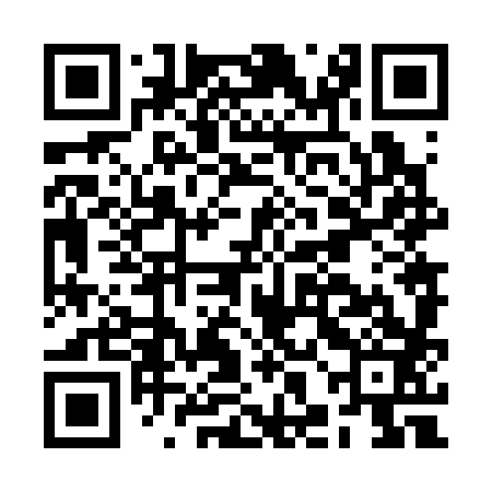QR code for BHN383