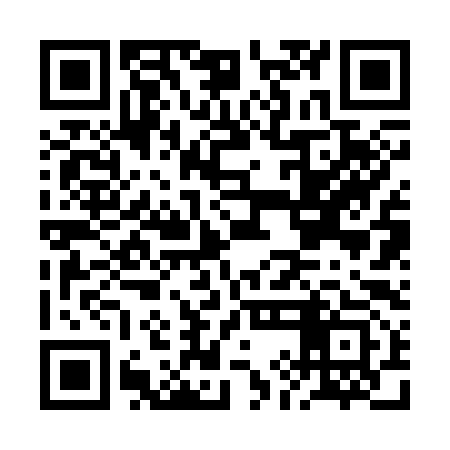 QR code for BIB393
