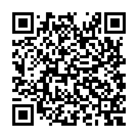 QR code for BIF911