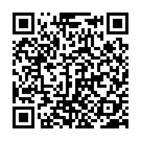 QR code for BIG309