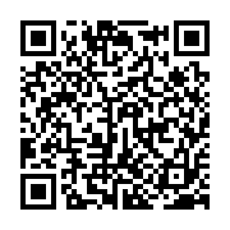QR code for BIG313
