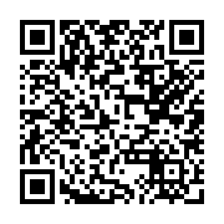 QR code for BIG381