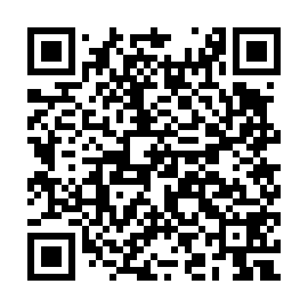 QR code for BIG458