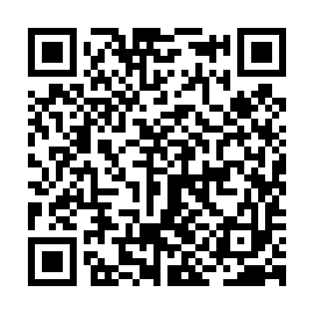 QR code for BII493
