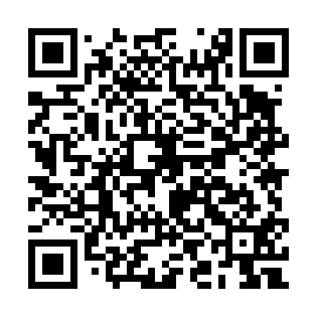 QR code for BIM411