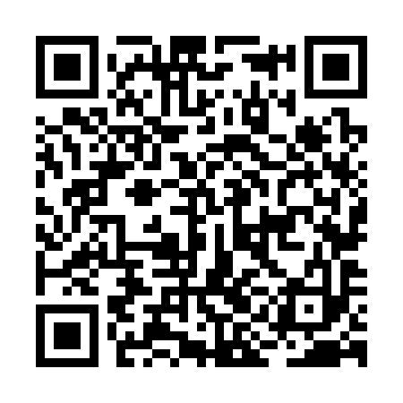 QR code for BIN393