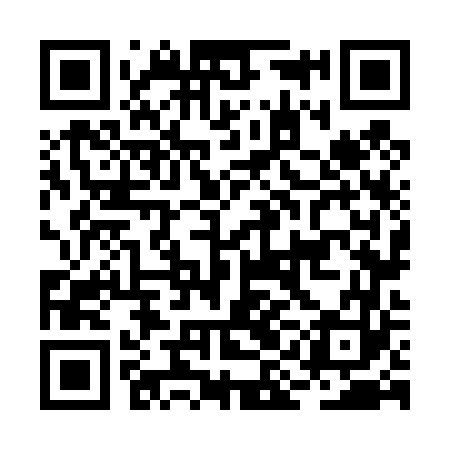 QR code for BIN463