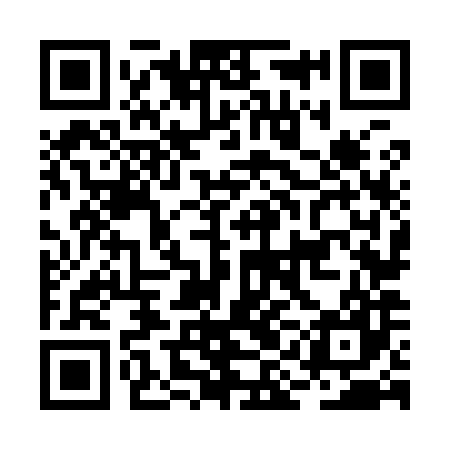 QR code for BIN987