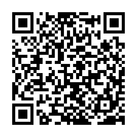 QR code for BIR314