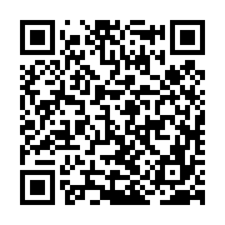 QR code for BIR476