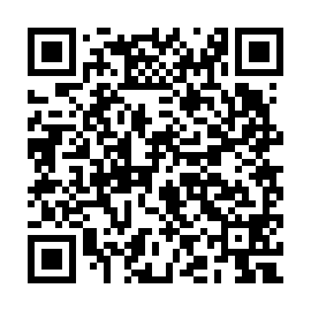 QR code for BIR698