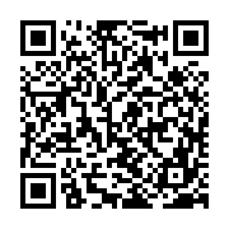 QR code for BIR876