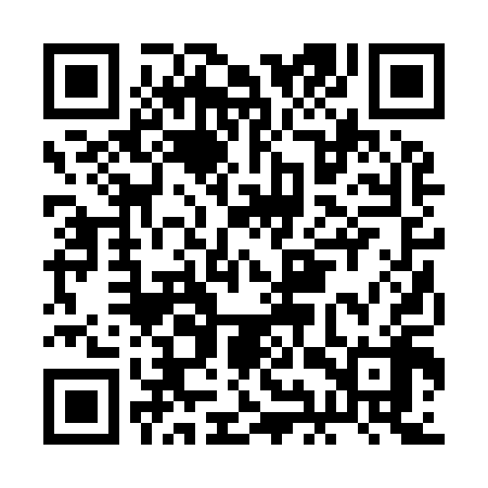 QR code for BIR918