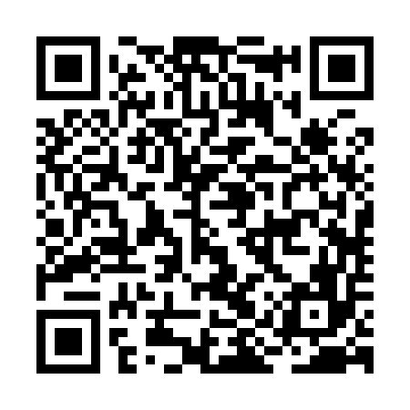 QR code for BIR956