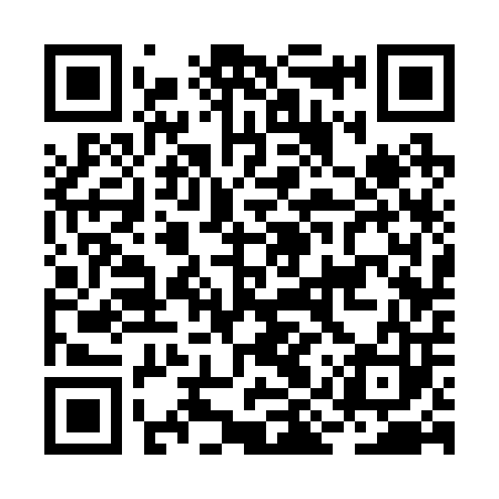 QR code for BIS203