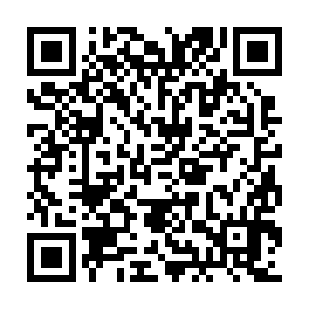 QR code for BIS294