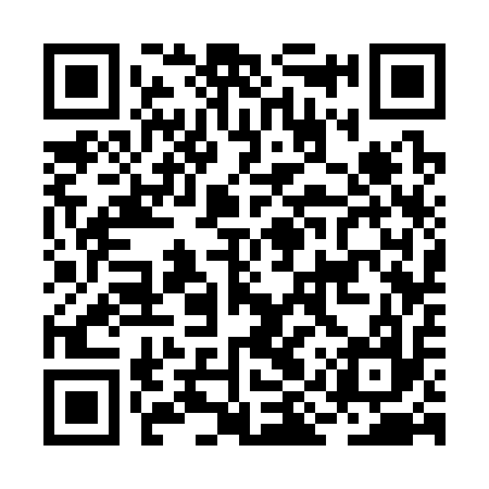 QR code for BIS317