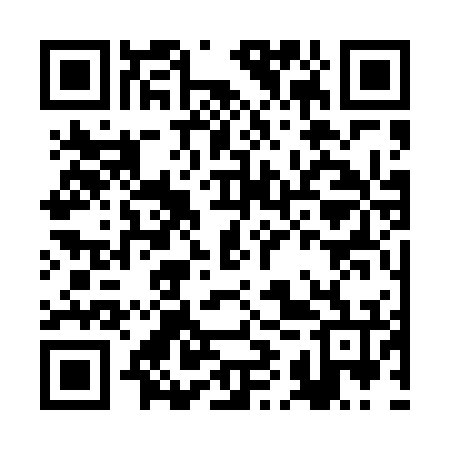 QR code for BIS476