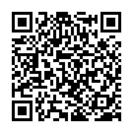 QR code for BIS938
