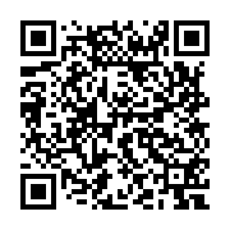 QR code for BIS950