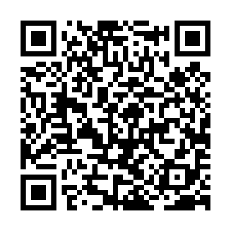 QR code for BIT498
