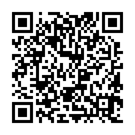 QR code for BIU285