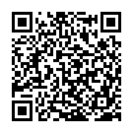 QR code for BIU376