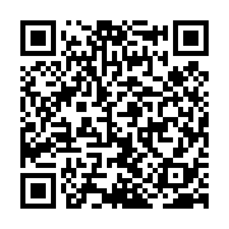 QR code for BIU438