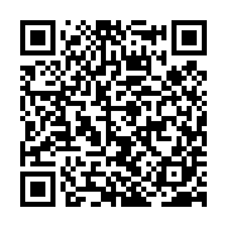QR code for BIU480