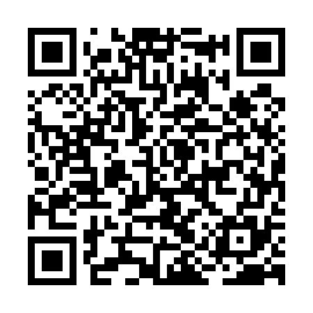 QR code for BIU575