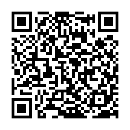 QR code for BIU595