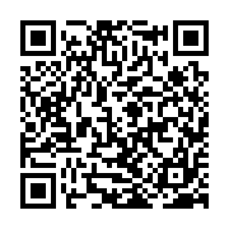 QR code for BIV317