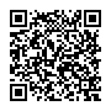 QR code for BIX919