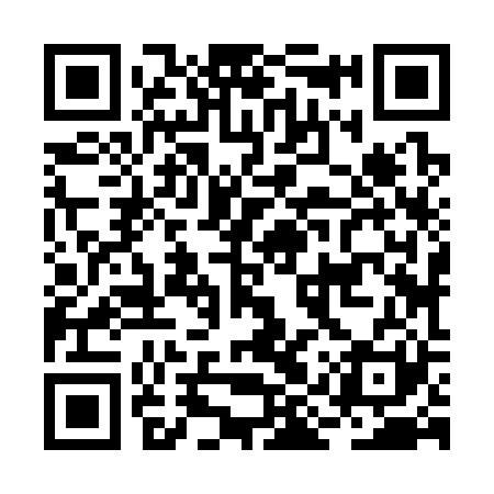QR code for BIZ321