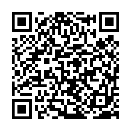 QR code for BIZ413