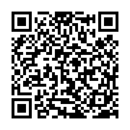 QR code for BIZ461