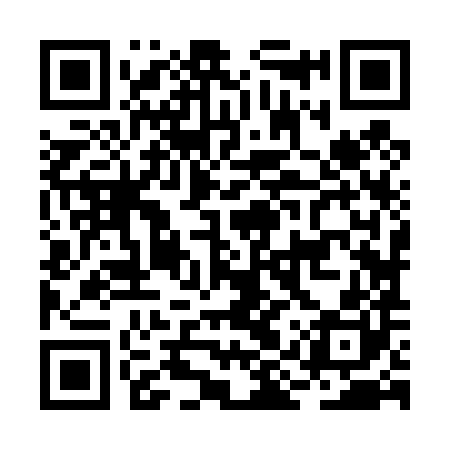 QR code for BIZ480
