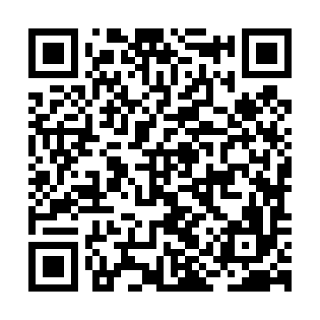 QR code for BIZ496